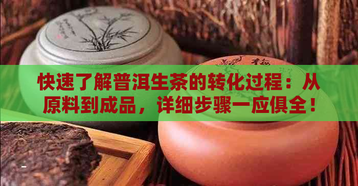 快速了解普洱生茶的转化过程：从原料到成品，详细步骤一应俱全！