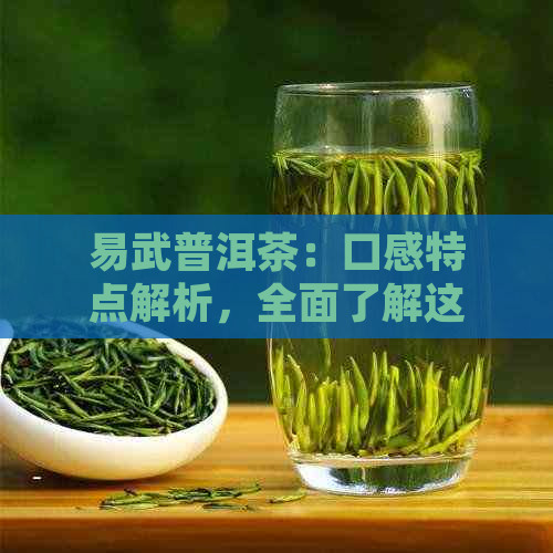 易武普洱茶：口感特点解析，全面了解这款茶的魅力所在