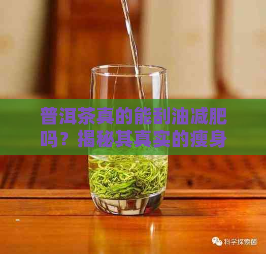 普洱茶真的能刮油减肥吗？揭秘其真实的瘦身功效与原理