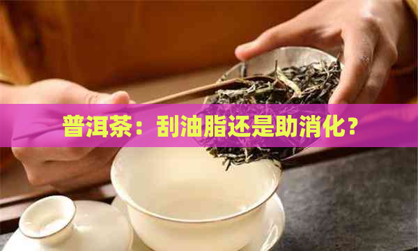 普洱茶：刮油脂还是助消化？