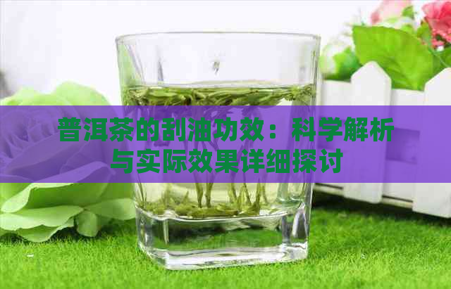 普洱茶的刮油功效：科学解析与实际效果详细探讨