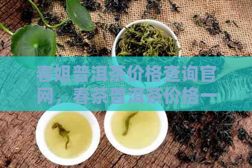 春姐普洱茶价格查询官网，春茶普洱茶价格一览表