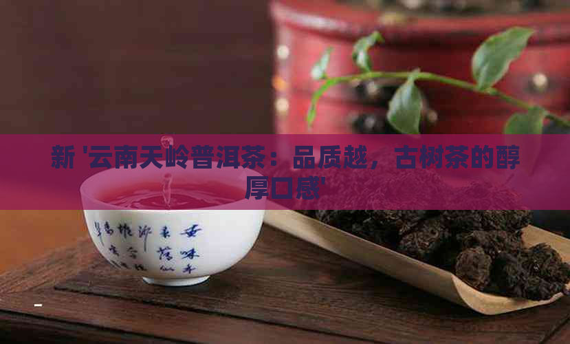 新 '云南天岭普洱茶：品质越，古树茶的醇厚口感'