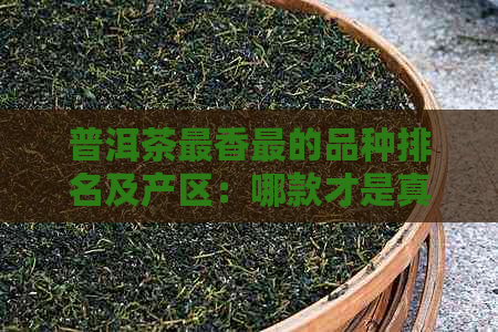 普洱茶最香最的品种排名及产区：哪款才是真正的香气之王？