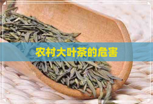 农村大叶茶的危害