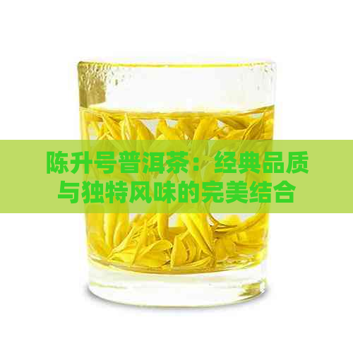 陈升号普洱茶：经典品质与独特风味的完美结合