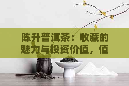 陈升普洱茶：收藏的魅力与投资价值，值得深入探讨吗？