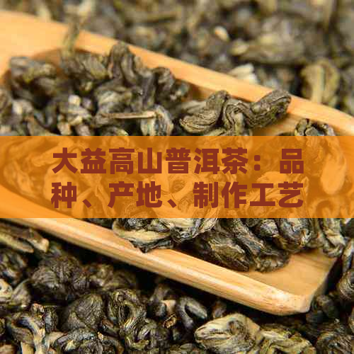 大益高山普洱茶：品种、产地、制作工艺、功效与品鉴全解析