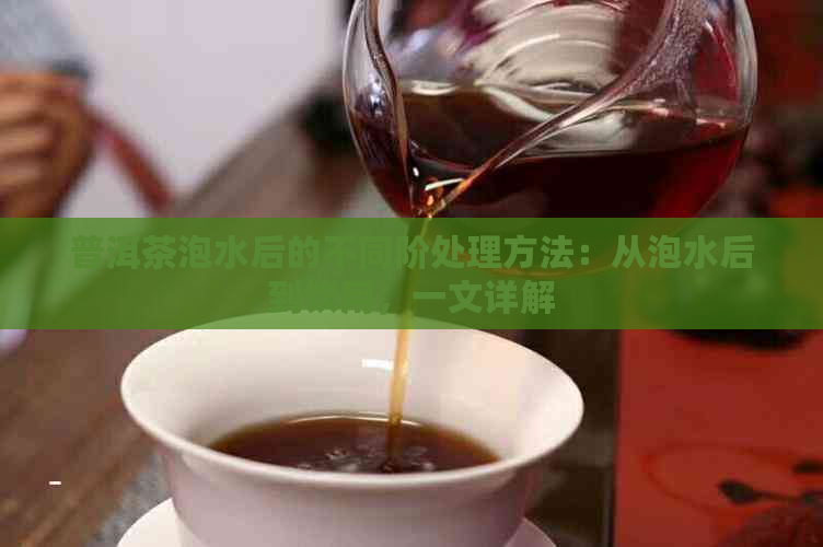 普洱茶泡水后的不同阶处理方法：从泡水后到饮用，一文详解