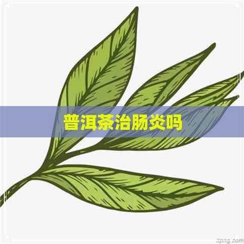 普洱茶治肠炎吗