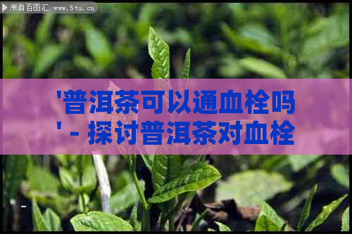 '普洱茶可以通血栓吗' - 探讨普洱茶对血栓的作用