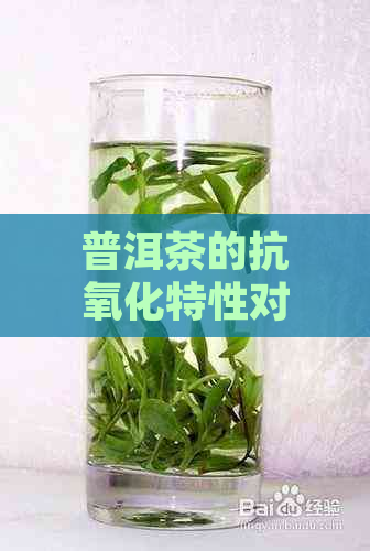 普洱茶的抗氧化特性对清除血管垃圾的影响：一项科学研究