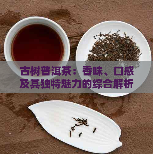 古树普洱茶：香味、口感及其独特魅力的综合解析