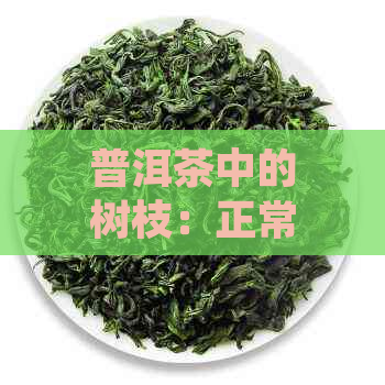 普洱茶中的树枝：正常现象还是品质问题？如何鉴别与处理？