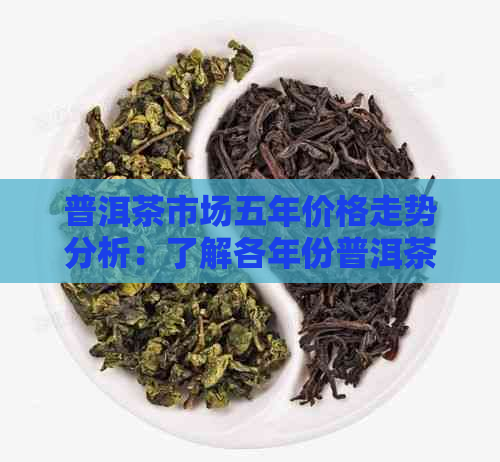 普洱茶市场五年价格走势分析：了解各年份普洱茶的价格及其影响因素