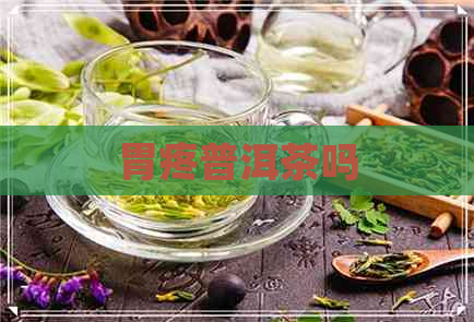 胃疼普洱茶吗