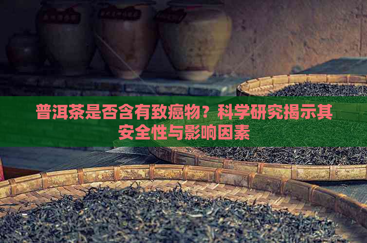 普洱茶是否含有致癌物？科学研究揭示其安全性与影响因素