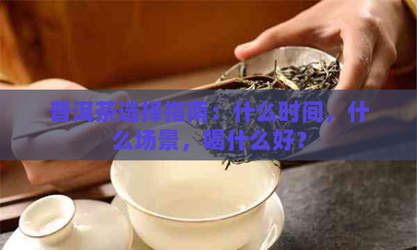 普洱茶选择指南：什么时间，什么场景，喝什么好？