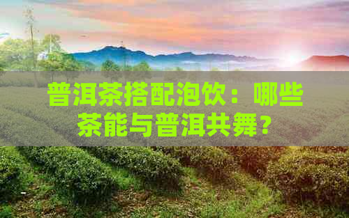 普洱茶搭配泡饮：哪些茶能与普洱共舞？