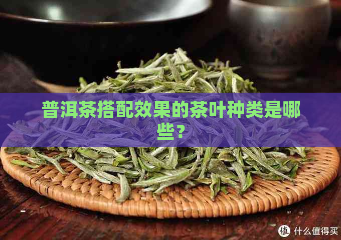 普洱茶搭配效果的茶叶种类是哪些？