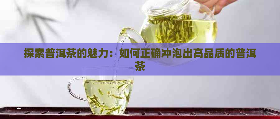 探索普洱茶的魅力：如何正确冲泡出高品质的普洱茶