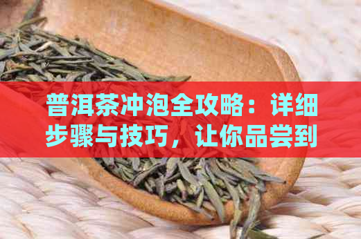 普洱茶冲泡全攻略：详细步骤与技巧，让你品尝到口感！