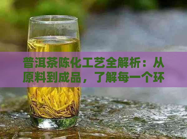 普洱茶陈化工艺全解析：从原料到成品，了解每一个环节的奥秘