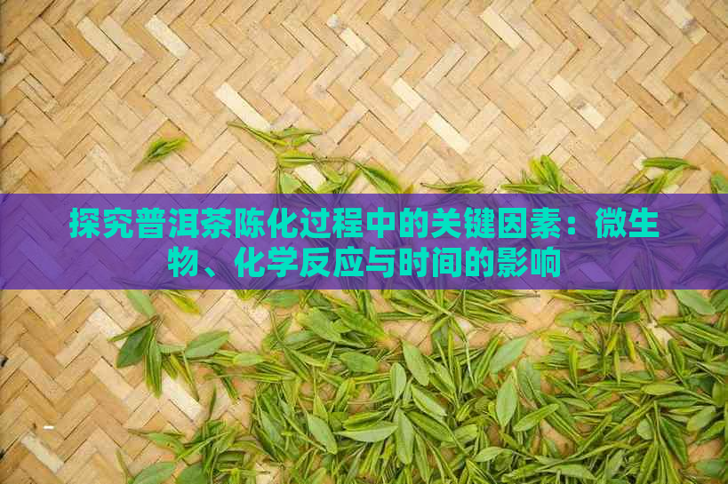 探究普洱茶陈化过程中的关键因素：微生物、化学反应与时间的影响