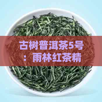 古树普洱茶5号：雨林红茶精品礼盒，最新价格解析