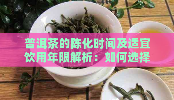 普洱茶的陈化时间及适宜饮用年限解析：如何选择品茗时刻？