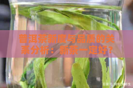 普洱茶新度与品质的关系分析：新茶一定好？