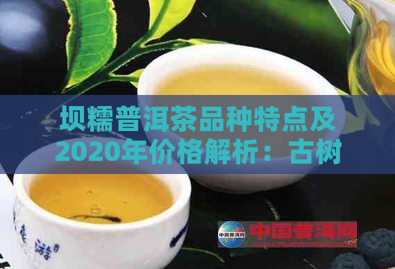 坝糯普洱茶品种特点及2020年价格解析：古树普洱茶的影响