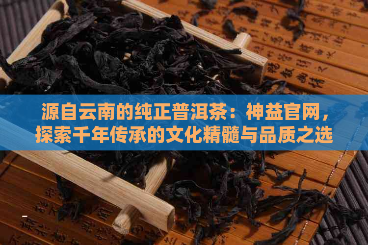 源自云南的纯正普洱茶：神益官网，探索千年传承的文化精髓与品质之选