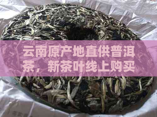 云南原产地直供普洱茶，新茶叶线上购买，品质保证，一键下单