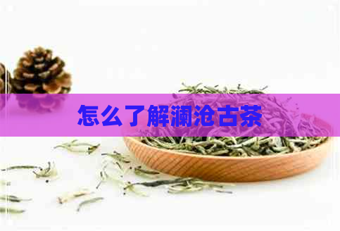 怎么了解澜沧古茶