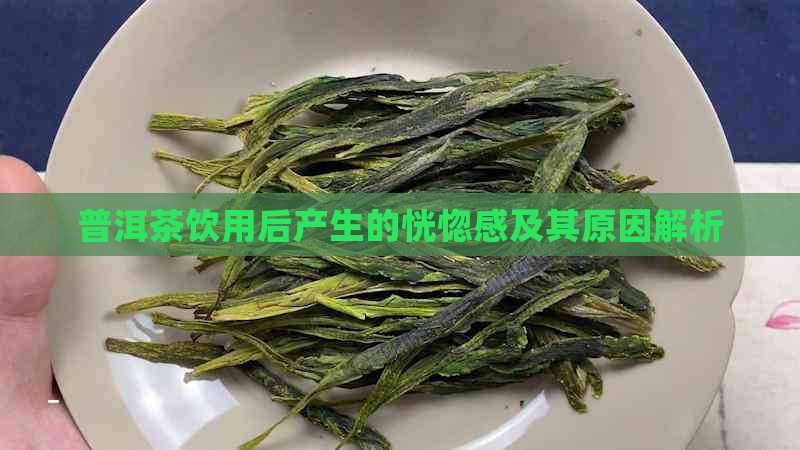 普洱茶饮用后产生的恍惚感及其原因解析