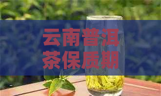 云南普洱茶保质期真相大揭秘：如何判断普洱茶是否过期？