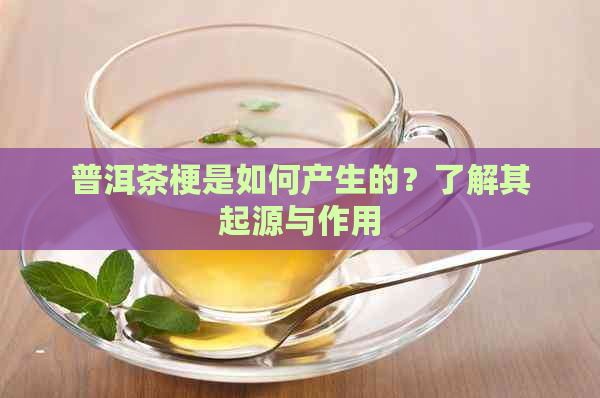 普洱茶梗是如何产生的？了解其起源与作用