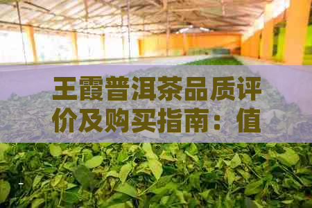 王霞普洱茶品质评价及购买指南：值得一试吗？