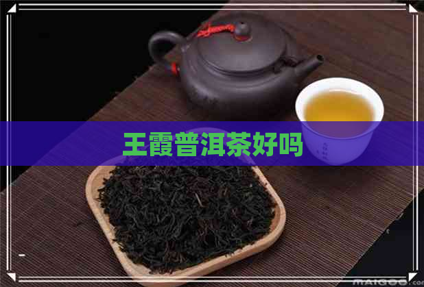 王霞普洱茶好吗