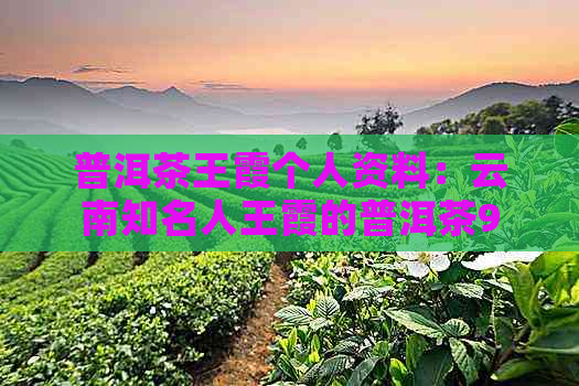 普洱茶王霞个人资料：云南知名人王霞的普洱茶9592价格及公司信息