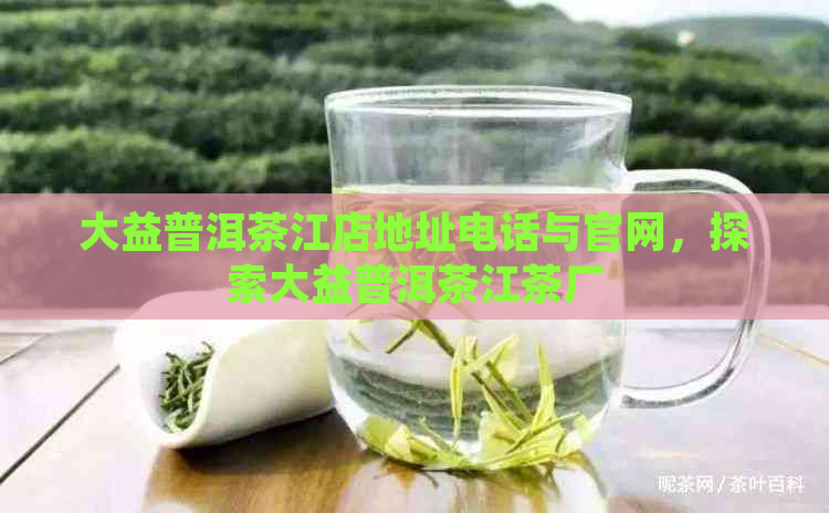 大益普洱茶江店地址电话与官网，探索大益普洱茶江茶厂