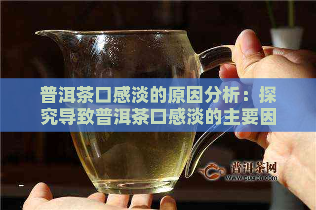 普洱茶口感淡的原因分析：探究导致普洱茶口感淡的主要因素