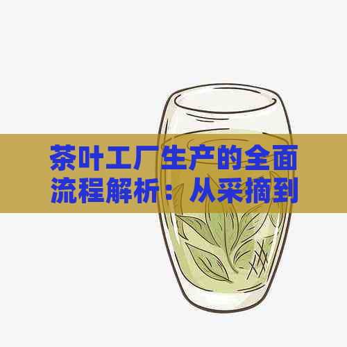 茶叶工厂生产的全面流程解析：从采摘到加工，让你了解茶叶的诞生过程