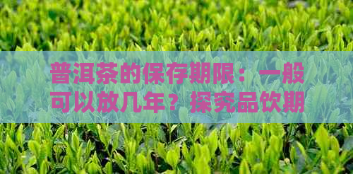 普洱茶的保存期限：一般可以放几年？探究品饮期和有效保存方法