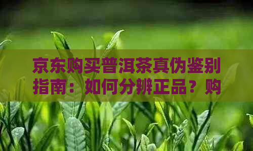 京东购买普洱茶真伪鉴别指南：如何分辨正品？购买前需要注意什么？