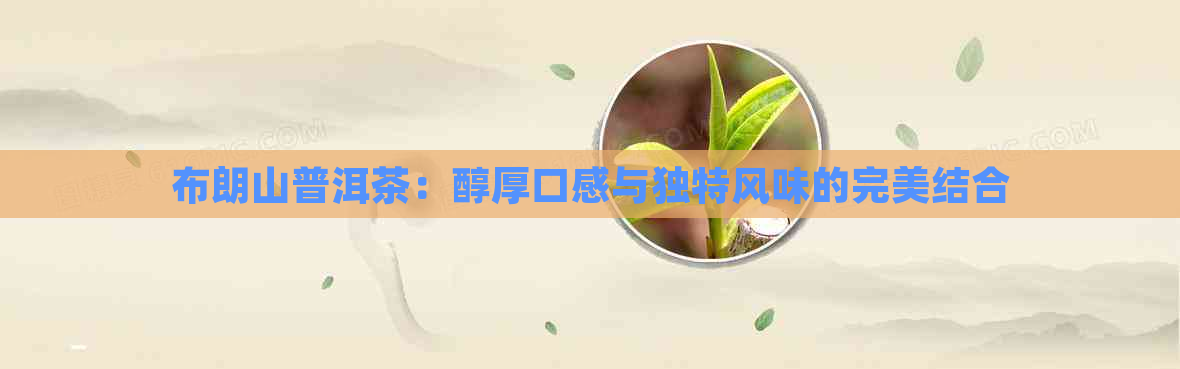 布朗山普洱茶：醇厚口感与独特风味的完美结合