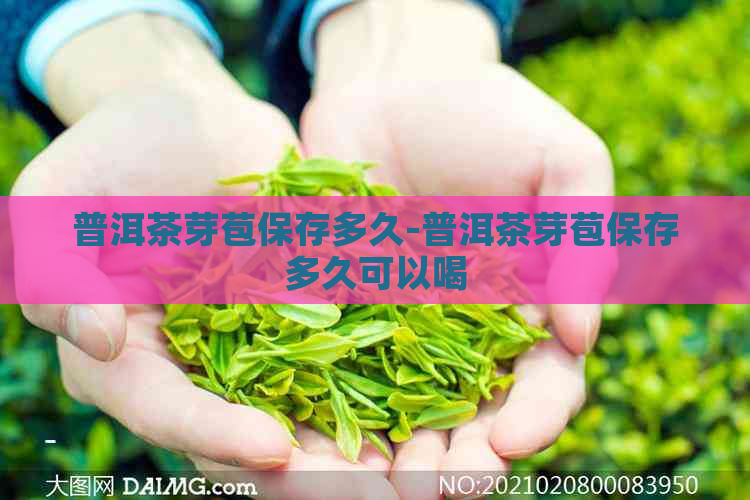 普洱茶芽苞保存多久-普洱茶芽苞保存多久可以喝