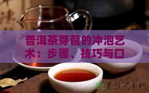 普洱茶芽苞的冲泡艺术：步骤、技巧与口感体验