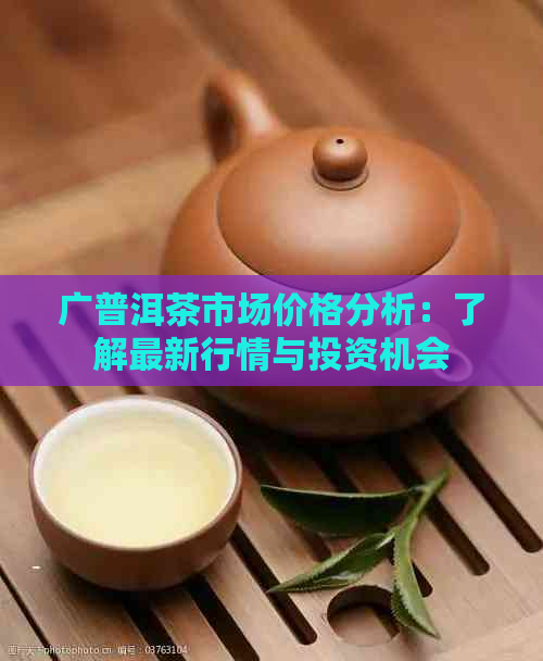 广普洱茶市场价格分析：了解最新行情与投资机会